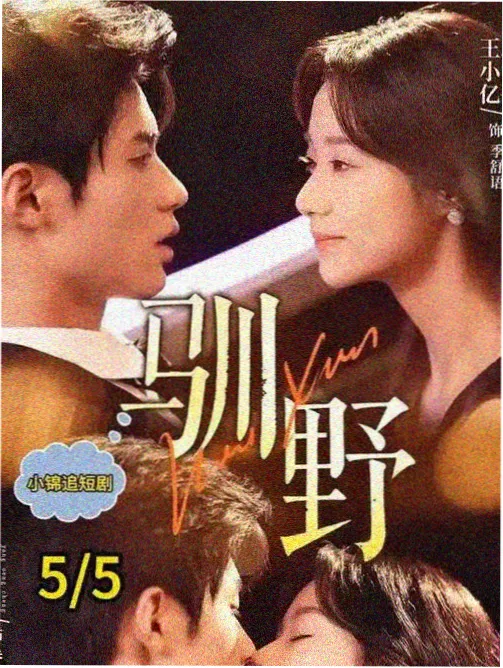 东京第七码 日剧在线观看